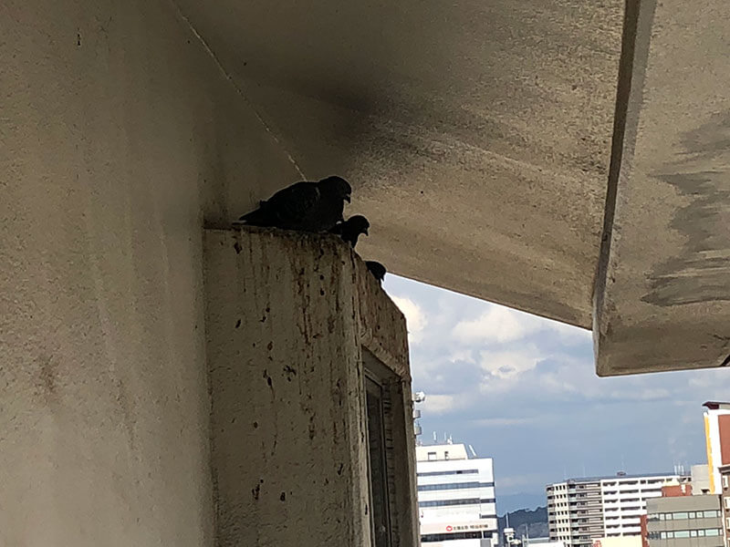 福岡県北九州市のマンション
